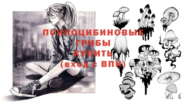 хмурый Белоозёрский