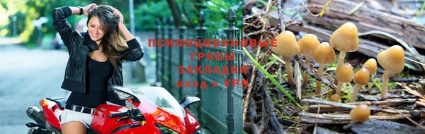 хмурый Белоозёрский