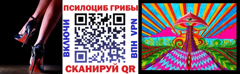где найти Корсаков Псилоцибиновые грибы Cubensis